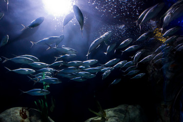 Similar image 7506498