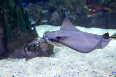 Similar image 7506500