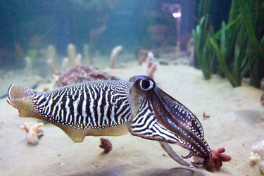 Similar image 7506502