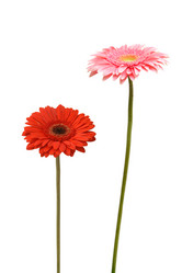 Similar image 7506503