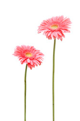 Similar image 7506504