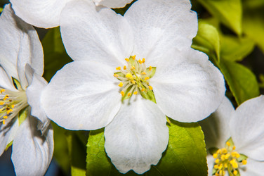 Similar image 7506816