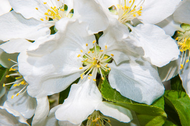 Similar image 7506819