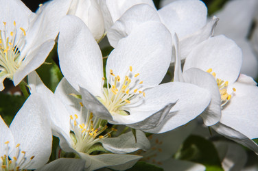 Similar image 7506822