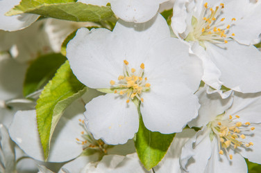 Similar image 7506823