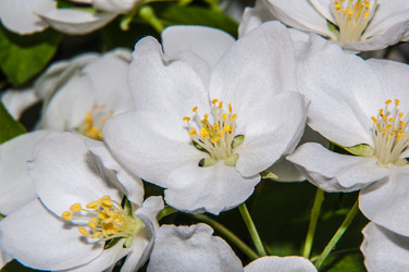 Similar image 7506824