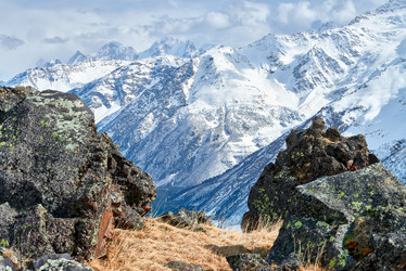 Similar image 7506849