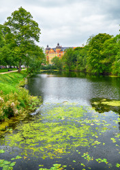 Similar image 7507011