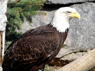 Similar image 7507126