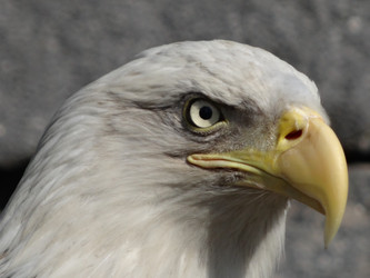 Similar image 7507127