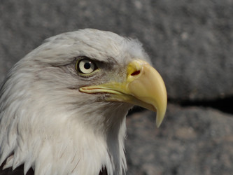 Similar image 7507128