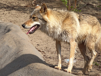 Similar image 7507129