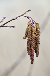 Similar image 7507130