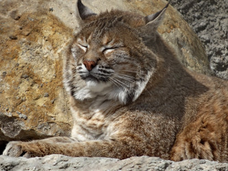 Similar image 7507157