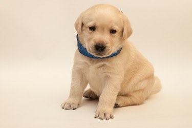 Similar image 7507190