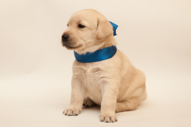 Similar image 7507191