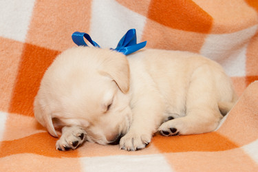 Similar image 7507192