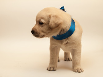 Similar image 7507194