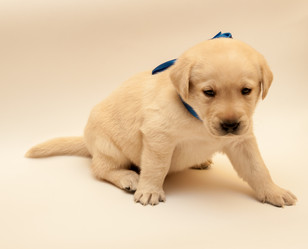 Similar image 7507195