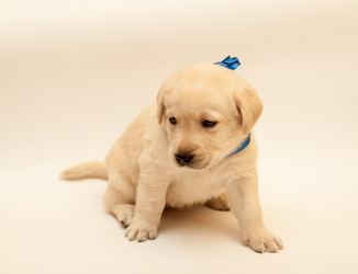 Similar image 7507212