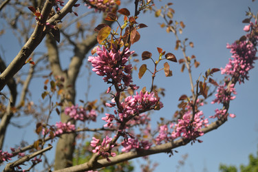 Similar image 7507224