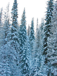 Similar image 7507227