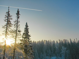 Similar image 7507229