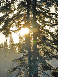 Similar image 7507230