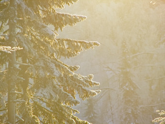 Similar image 7507231