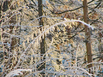 Similar image 7507232