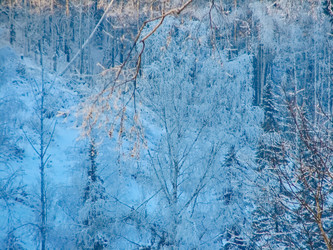 Similar image 7507233