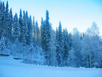 Similar image 7507234