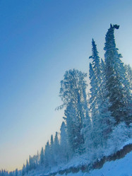 Similar image 7507237