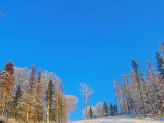 Similar image 7507241