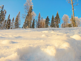 Similar image 7507267