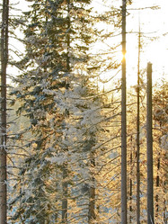 Similar image 7507268