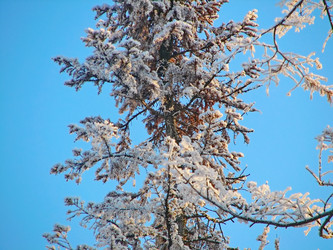 Similar image 7507269