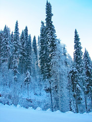 Similar image 7507270