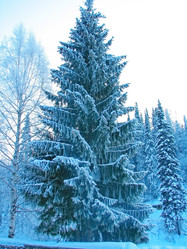 Similar image 7507271