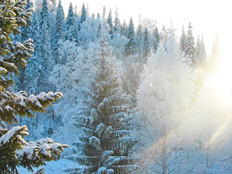 Similar image 7507272