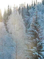 Similar image 7507273