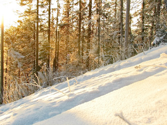 Similar image 7507274