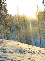 Similar image 7507275