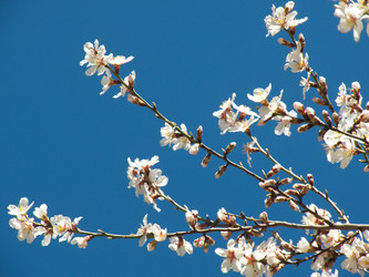 Similar image 7507404