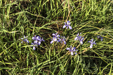 Similar image 7507464