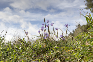 Similar image 7507466