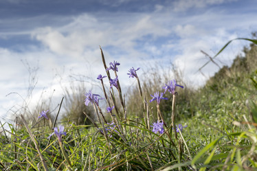 Similar image 7507467