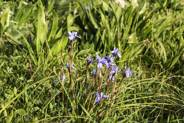 Similar image 7507468