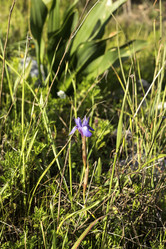 Similar image 7507471