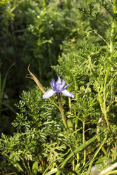 Similar image 7507480